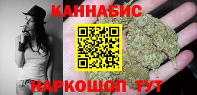 сатива Шебекино