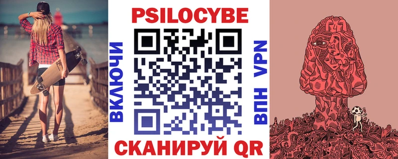 Псилоцибиновые грибы Psilocybe  Рубцовск 