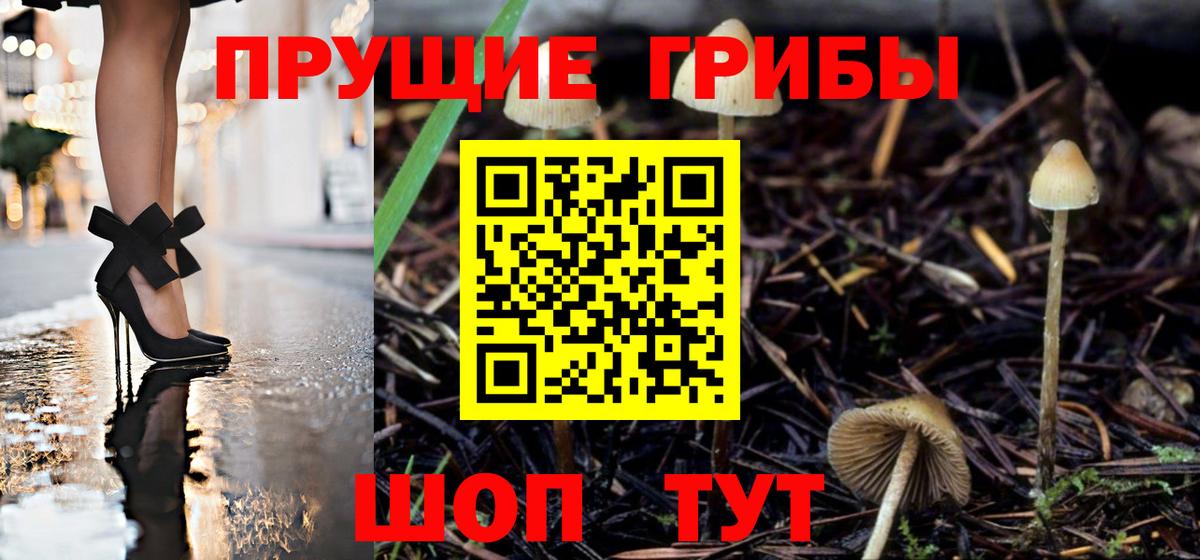 Галлюциногенные грибы Magic Shrooms Рубцовск